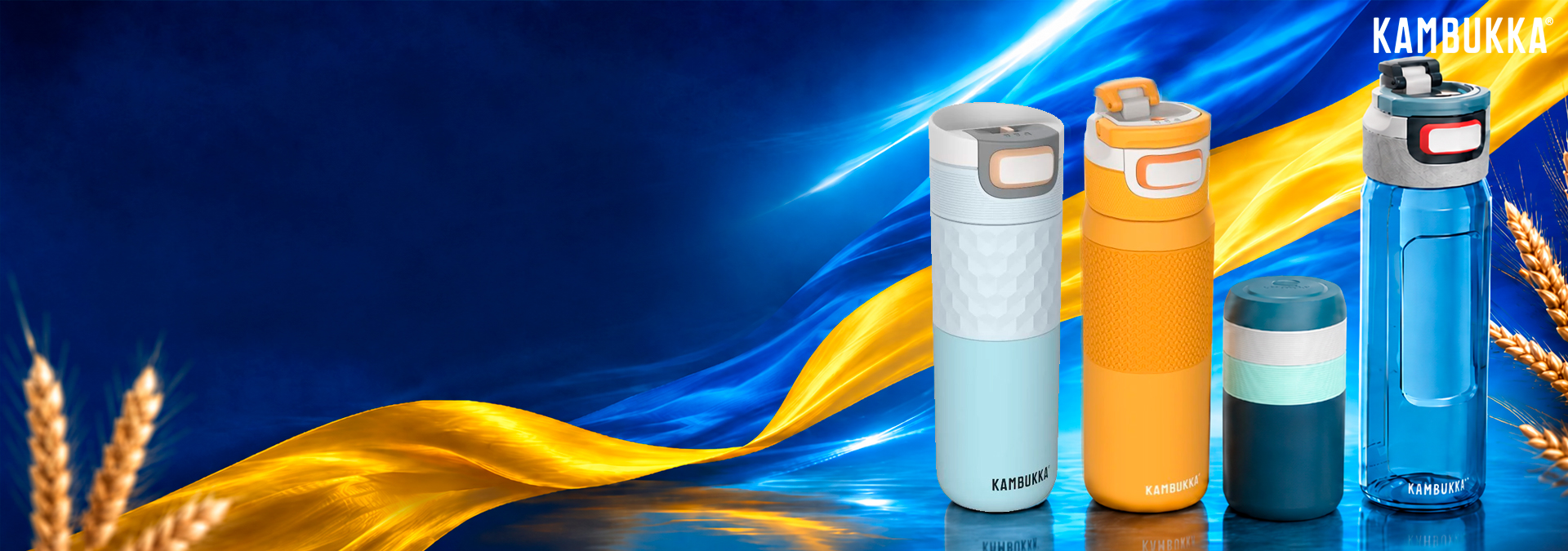 Акція до Дня Конституції України