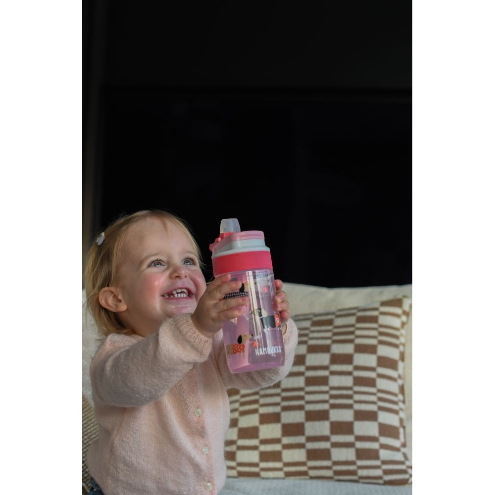 Пляшка для води Kambukka Lagoon тританова 400 мл рожева - 11-04056